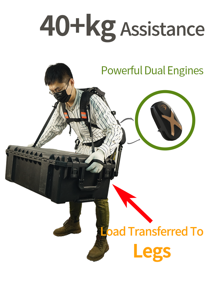 P6-40+kg.png